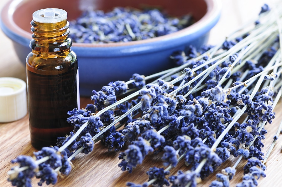 Alzheimer’s home care helps seniors and their families with specialized care and techniques, including aromatherapy.